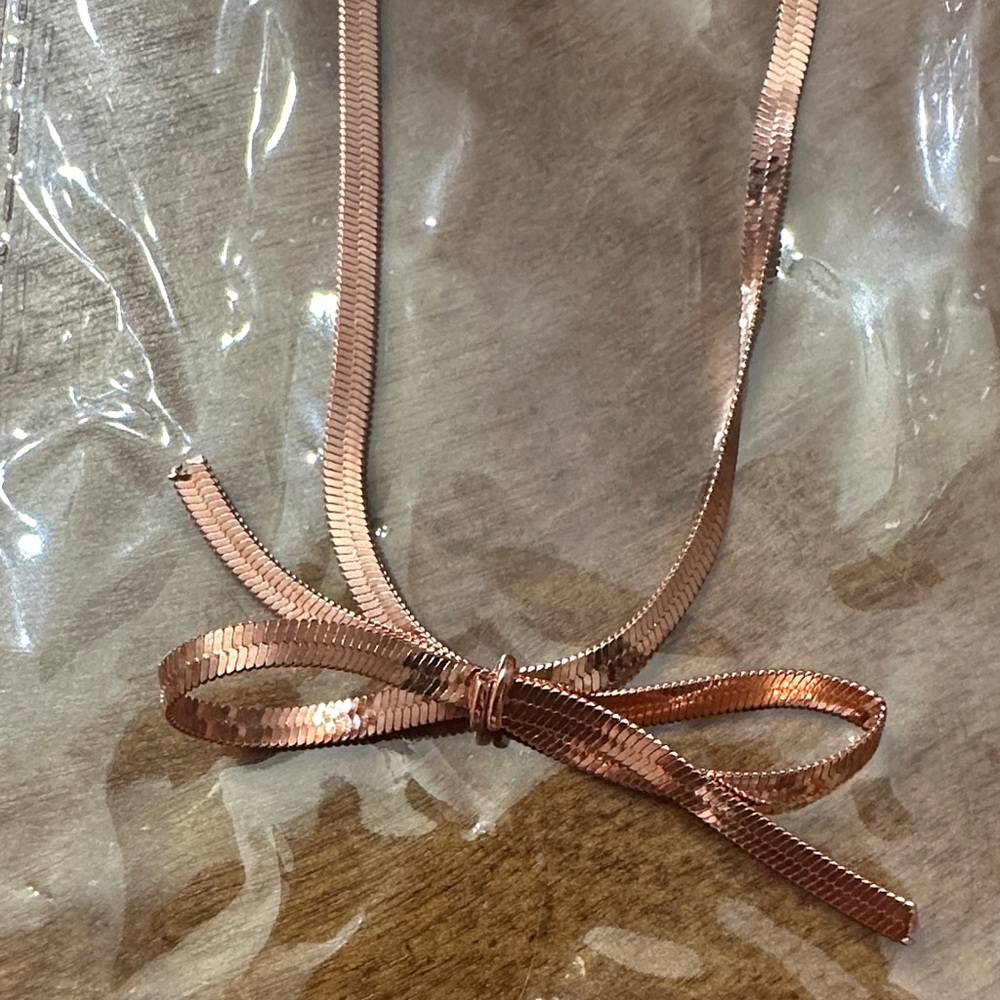 Paparazzi Elegant Rose Gold Ribbon Necklace with Earrings